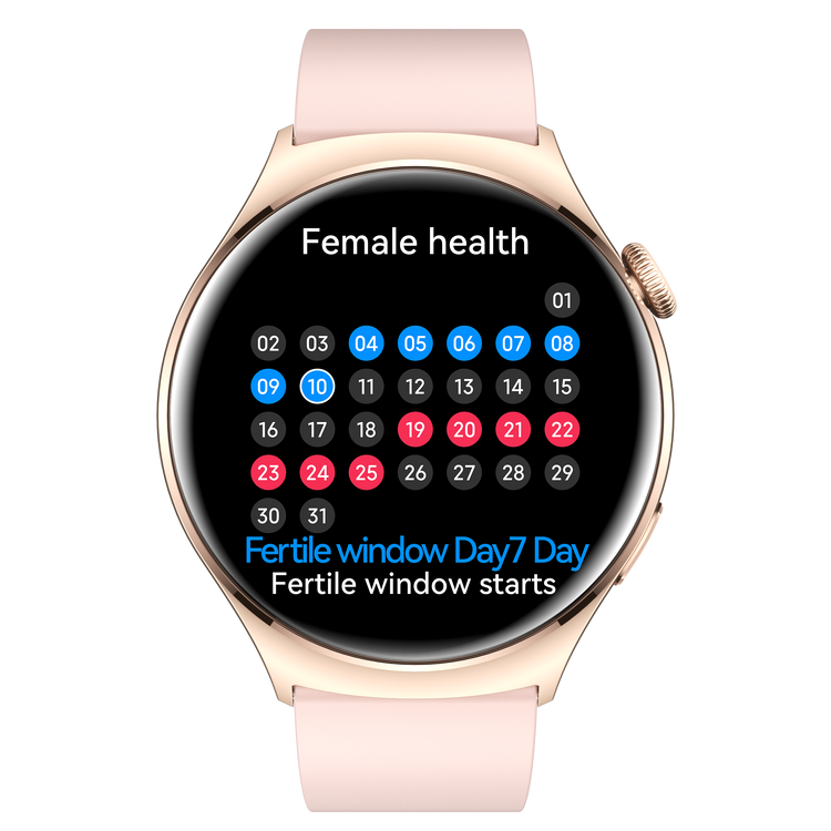 Montre connectée AMOLED - Edition Amnésia - (avec bracelet silicone) coleur Rose Gold