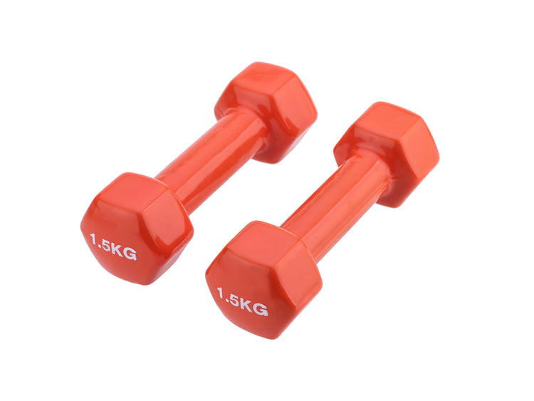Paire d'haltères epoxy en vinyle antidérapant 2x1.5Kg