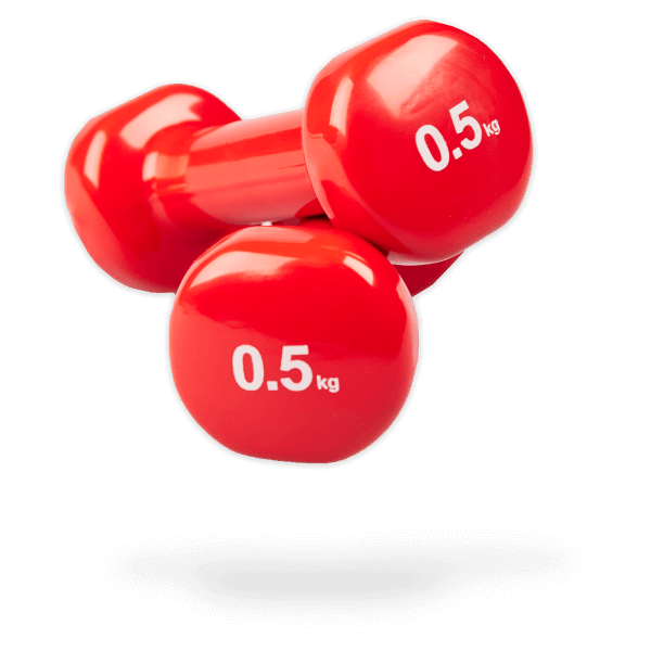 Paire d'haltères epoxy en  vinyle antidérapant 2x0.5Kg