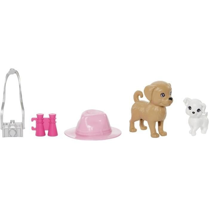 MATTEL Coffret poupées Stacie et Barbie 2 poupées